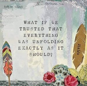 Meet your Posher, Mackenzie